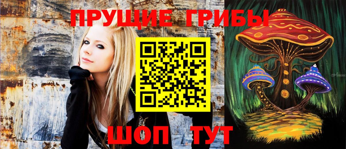 Галлюциногенные грибы мухоморы  Вход с VPN  Озёрск 