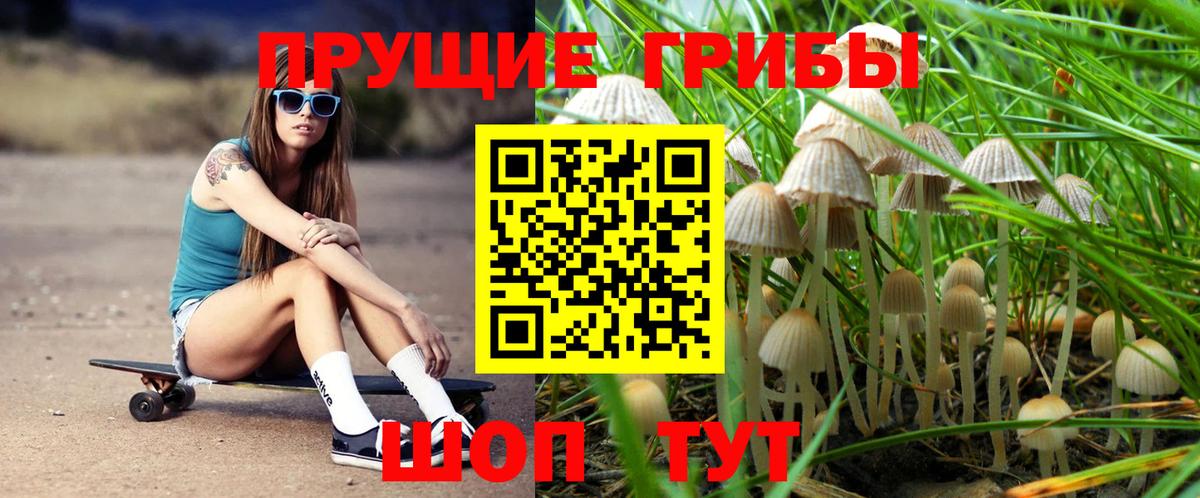 Псилоцибиновые грибы Cubensis Озёрск